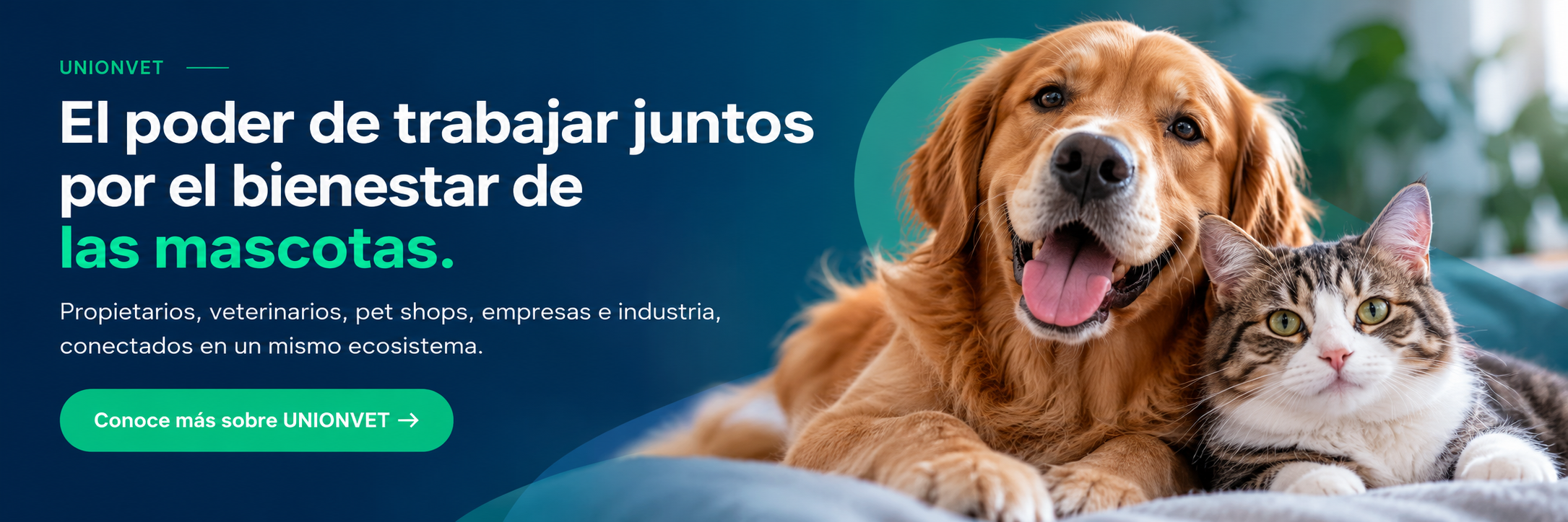 El poder de trabajar juntos por el bienestar de las mascotas